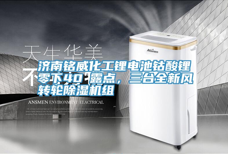 濟南銘威化工鋰電池鈷酸鋰零下40℃露點，三臺全新風轉輪除濕機組