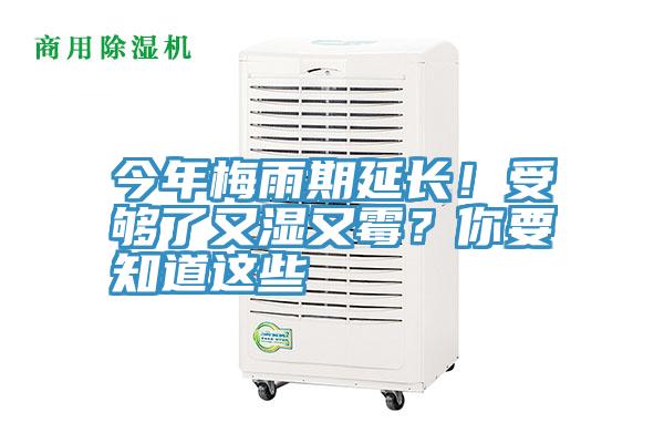 今年梅雨期延長(zhǎng)！受夠了又濕又霉？你要知道這些