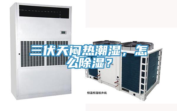 三伏天悶熱潮濕，怎么除濕？