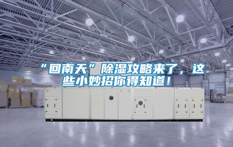 “回南天”除濕攻略來了，這些小妙招你得知道！