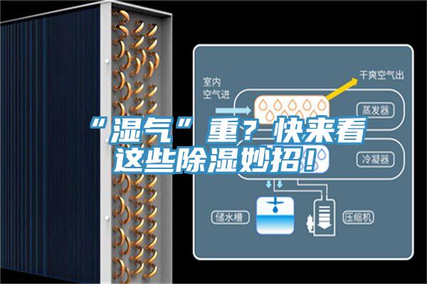 “濕氣”重？快來看這些除濕妙招！