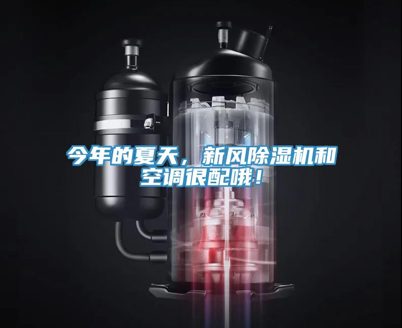 今年的夏天，新風(fēng)除濕機(jī)和空調(diào)很配哦！