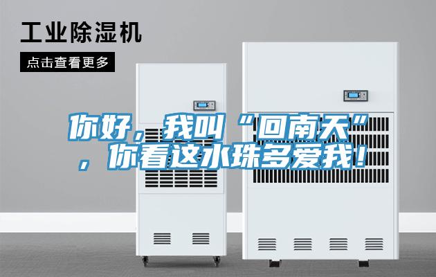 你好，我叫“回南天”，你看這水珠多愛我！
