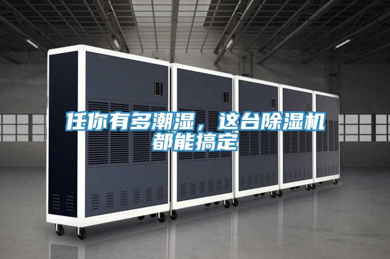 任你有多潮濕，這臺除濕機(jī)都能搞定