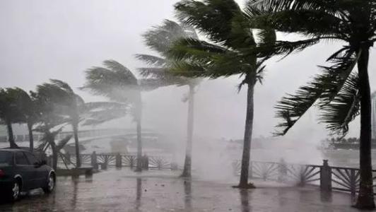 8月臺(tái)風(fēng)雨即將來(lái)，除濕機(jī)還得用起來(lái)