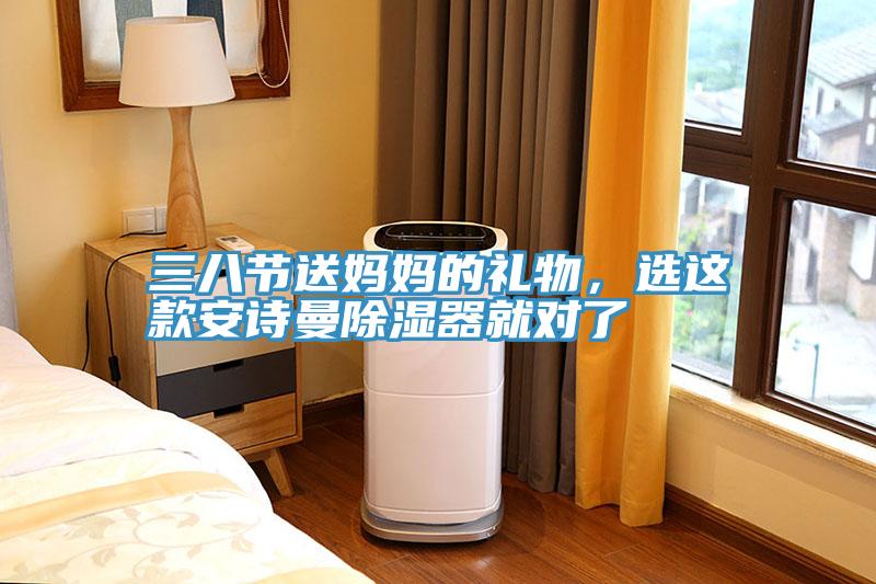 三八節(jié)送媽媽的禮物，選這款安詩曼除濕器就對了