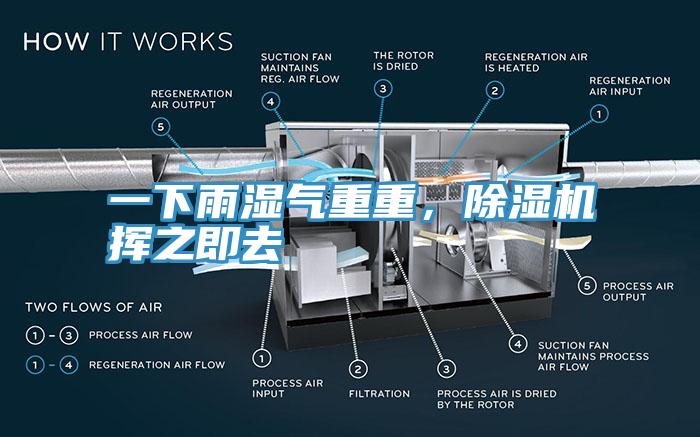 一下雨濕氣重重，除濕機(jī)揮之即去