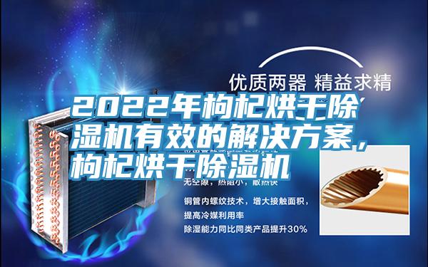 2022年枸杞烘干除濕機有效的解決方案，枸杞烘干除濕機