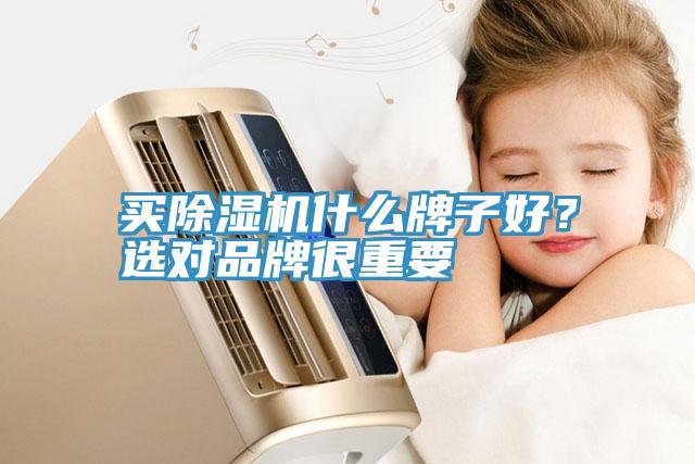 買(mǎi)除濕機(jī)什么牌子好？選對(duì)品牌很重要