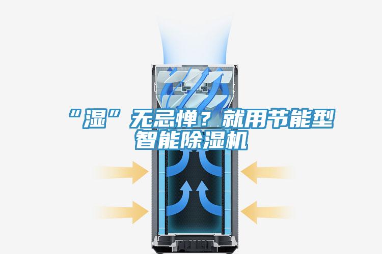 “濕”無忌憚？就用節(jié)能型智能除濕機