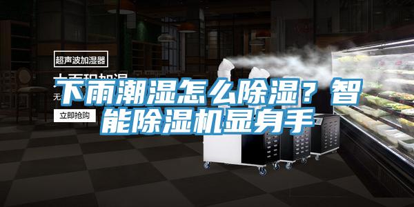 下雨潮濕怎么除濕？智能除濕機(jī)顯身手