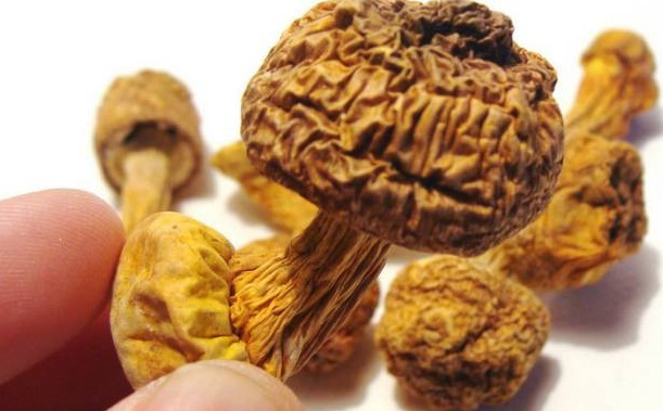 巴西菇、姬松茸烘干機(jī)-怎樣烘干色澤好且菇體褶片完整？