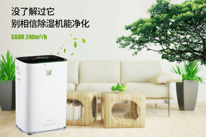 一到回南天狗狗就感冒+皮膚病，怎么辦？