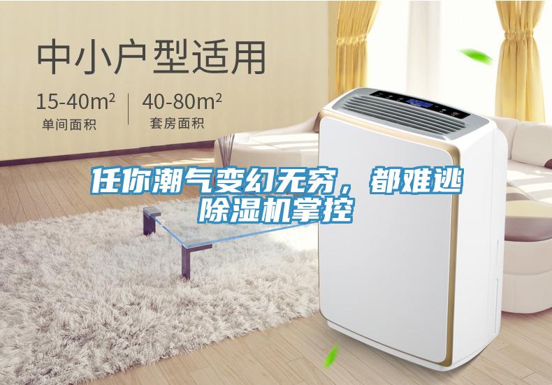 任你潮氣變幻無窮，都難逃除濕機(jī)掌控