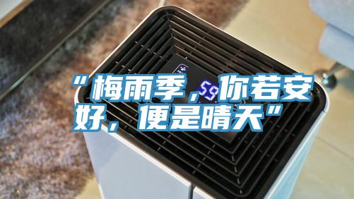 “梅雨季，你若安好，便是晴天”
