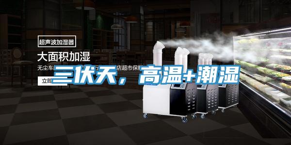 三伏天，高溫+潮濕