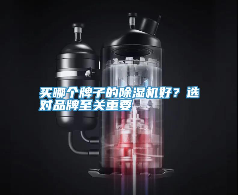 買哪個(gè)牌子的除濕機(jī)好？選對(duì)品牌至關(guān)重要