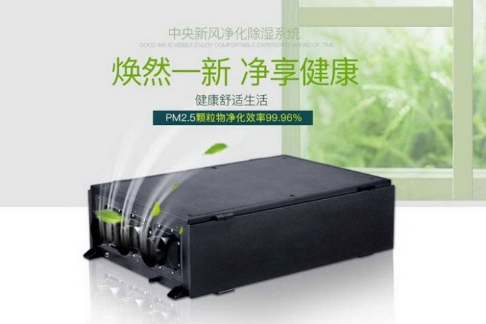 一年一度梅雨季快來了，這份除濕防潮全攻略搶先收藏！