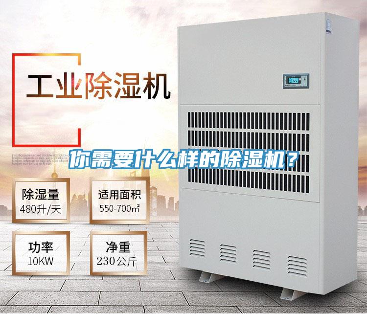 你需要什么樣的除濕機(jī)？