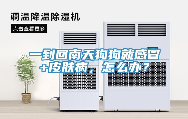 一到回南天狗狗就感冒+皮膚病，怎么辦？