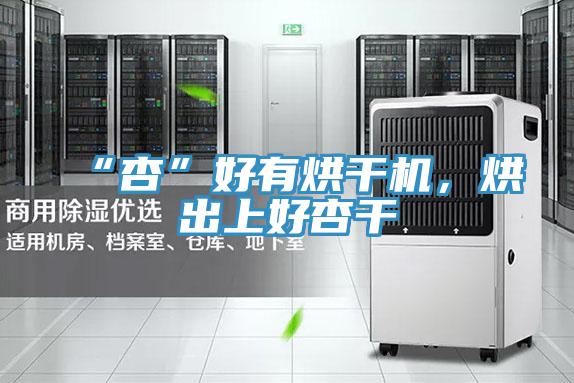 “杏”好有烘干機，烘出上好杏干
