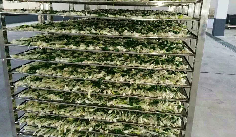 菜干需求一直都很大，蔬菜烘干機很有市場