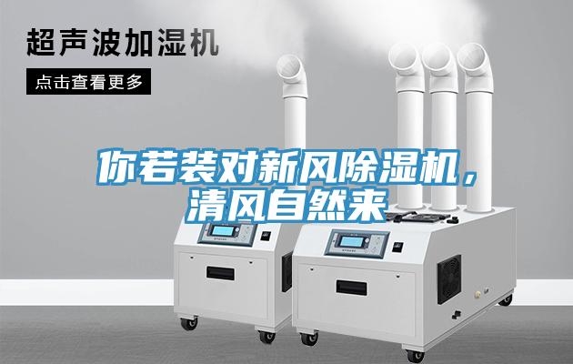 你若裝對(duì)新風(fēng)除濕機(jī)，清風(fēng)自然來(lái)