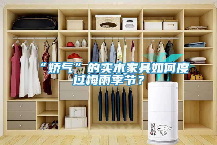 “嬌氣”的實木家具如何度過梅雨季節(jié)？