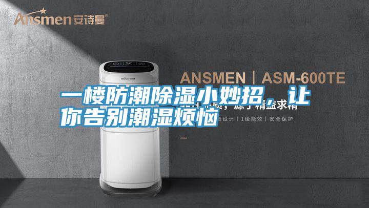 一樓防潮除濕小妙招，讓你告別潮濕煩惱