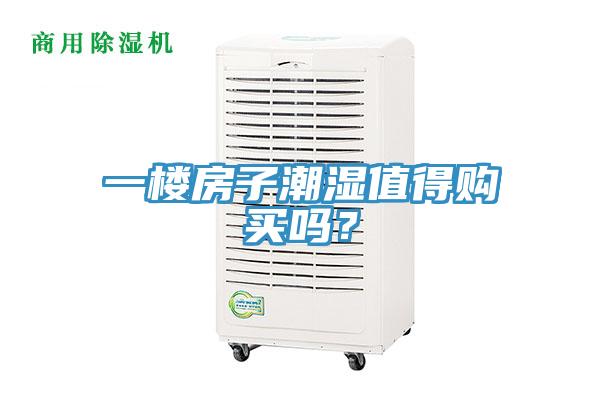一樓房子潮濕值得購買嗎？