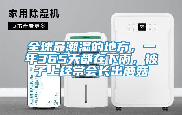 全球最潮濕的地方，一年365天都在下雨，被子上經(jīng)常會(huì)長出蘑菇
