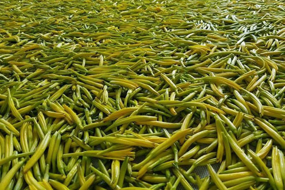 無硫金針菜烘干如何保持品相？不發(fā)黑？_除濕機(jī)廠家
