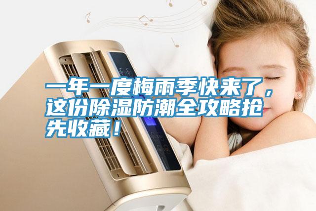 一年一度梅雨季快來了，這份除濕防潮全攻略搶先收藏！