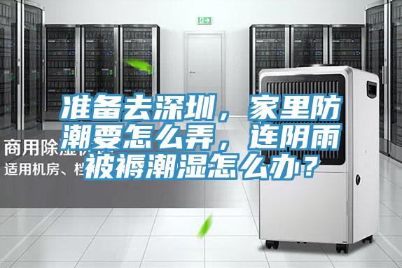 準(zhǔn)備去深圳，家里防潮要怎么弄，連陰雨被褥潮濕怎么辦？