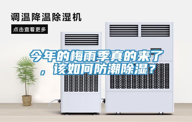 今年的梅雨季真的來了，該如何防潮除濕？