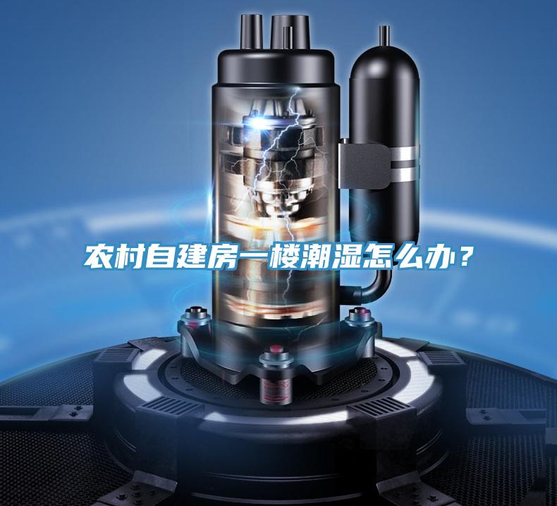 農(nóng)村自建房一樓潮濕怎么辦？