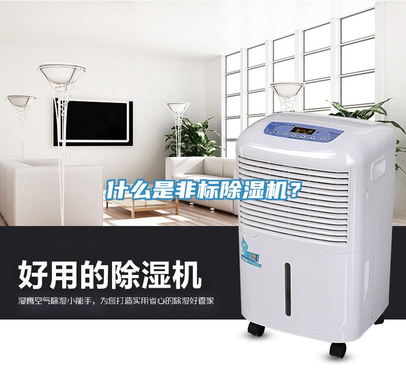 什么是非標除濕機？