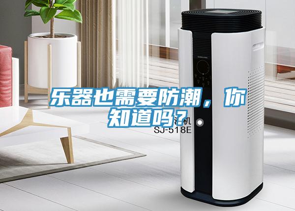 樂器也需要防潮，你知道嗎？