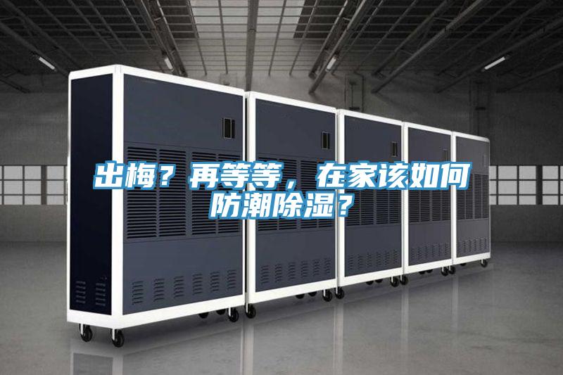 出梅？再等等，在家該如何防潮除濕？