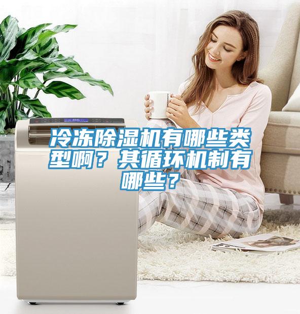 冷凍除濕機有哪些類型?。科溲h(huán)機制有哪些？