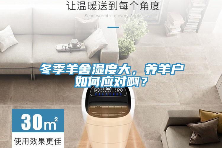 冬季羊舍濕度大，養(yǎng)羊戶如何應(yīng)對??？