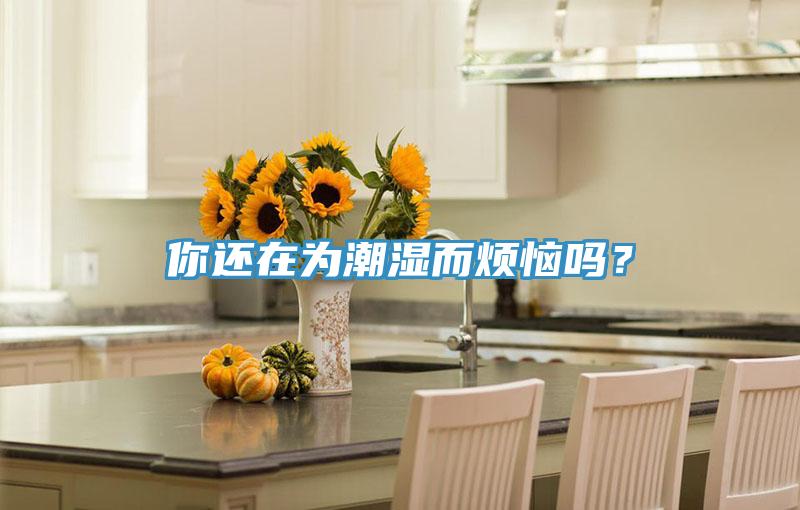 你還在為潮濕而煩惱嗎？