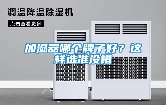 加濕器哪個牌子好？這樣選準沒錯