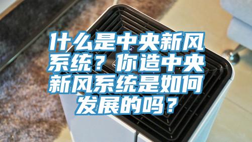 什么是中央新風系統(tǒng)？你造中央新風系統(tǒng)是如何發(fā)展的嗎？