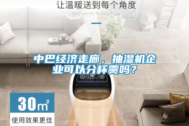 中巴經濟走廊，抽濕機企業(yè)可以分杯羹嗎？