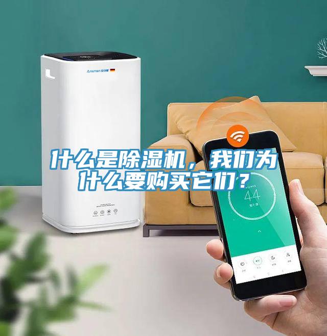 什么是除濕機(jī)，我們?yōu)槭裁匆徺I它們？