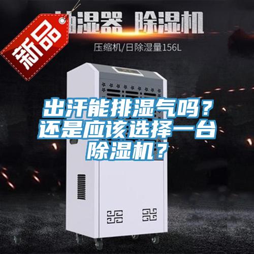 出汗能排濕氣嗎？還是應(yīng)該選擇一臺(tái)除濕機(jī)？