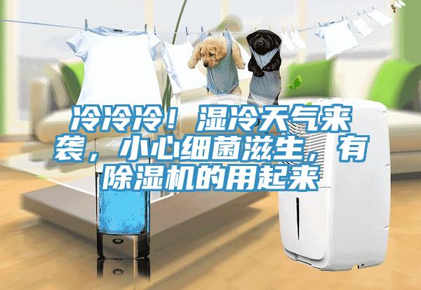 冷冷冷！濕冷天氣來襲，小心細(xì)菌滋生，有除濕機(jī)的用起來