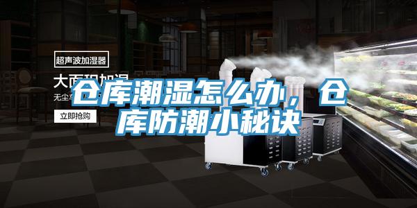 倉庫潮濕怎么辦，倉庫防潮小秘訣