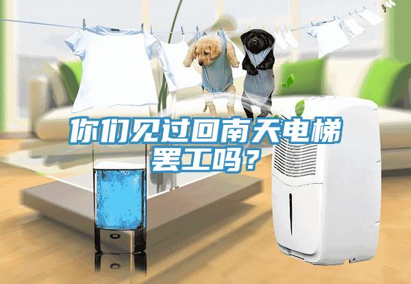 你們見過回南天電梯罷工嗎？